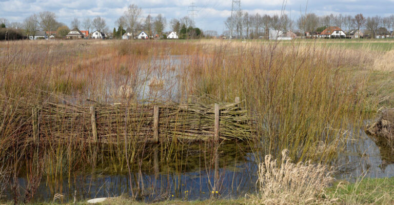 Buurtbeheer van ecologische zone ’t Pasje