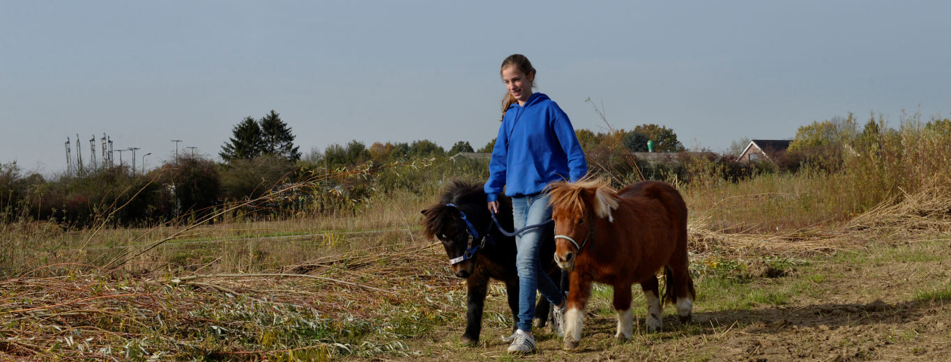 de Nieuwe NU, bewoners, Sophie Kamphuis, Lawickse Allee 89 Wageningen