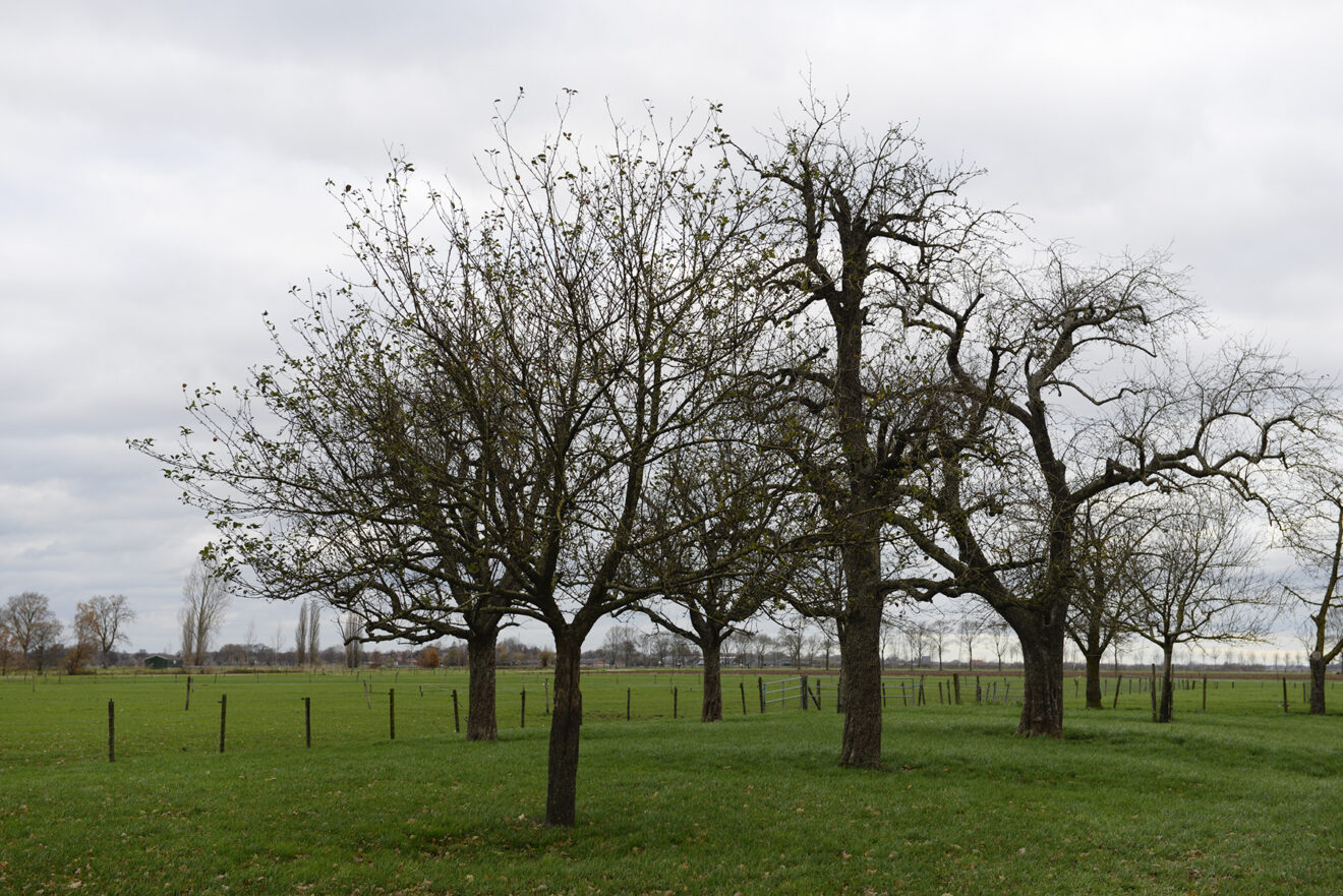 Meedenkavond landschaps- en biodiversiteitsfonds