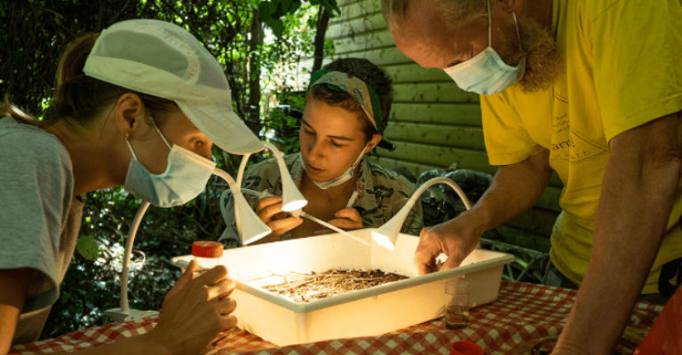 Expeditie Achtertuin in de Oude Nu