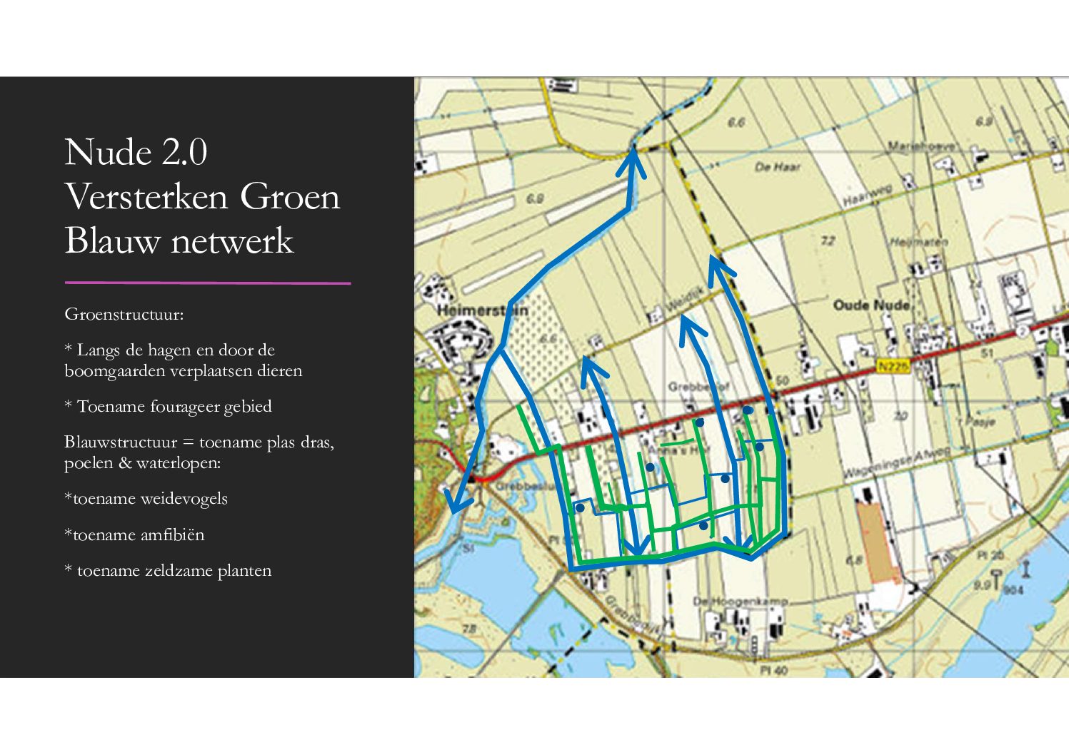 Plan voor de Rhenense Nude: Nude 2.0