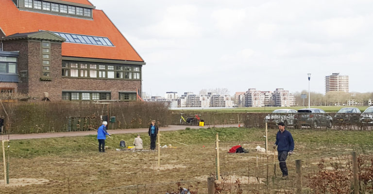 Nieuwe bijenoase langs de Lawickse Allee