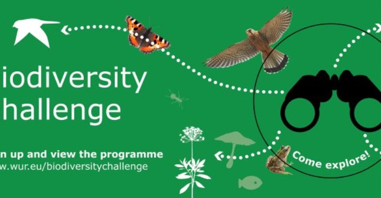 Biodiversity Challenge