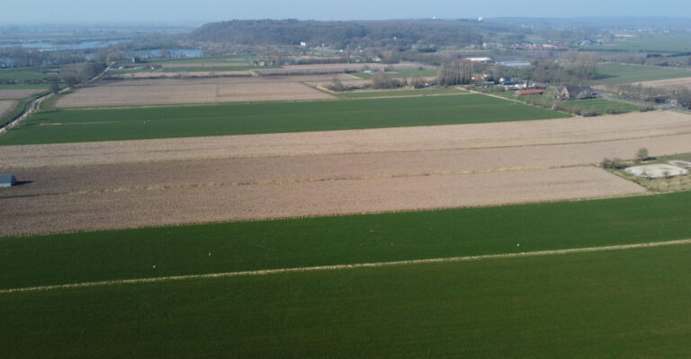 Streep door zonnepark Nude